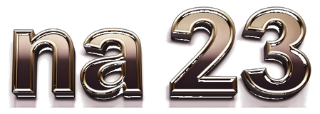 na 23 logo